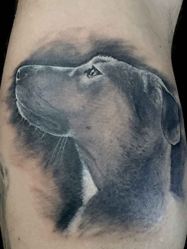 hyper realistic dog tattoo