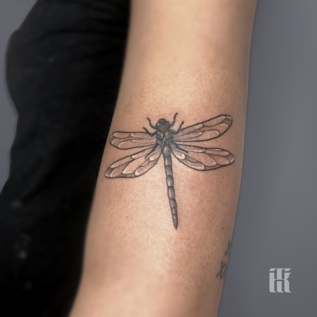 marcella ink tattoo dragon fly
